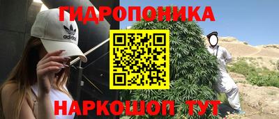 spice Абинск