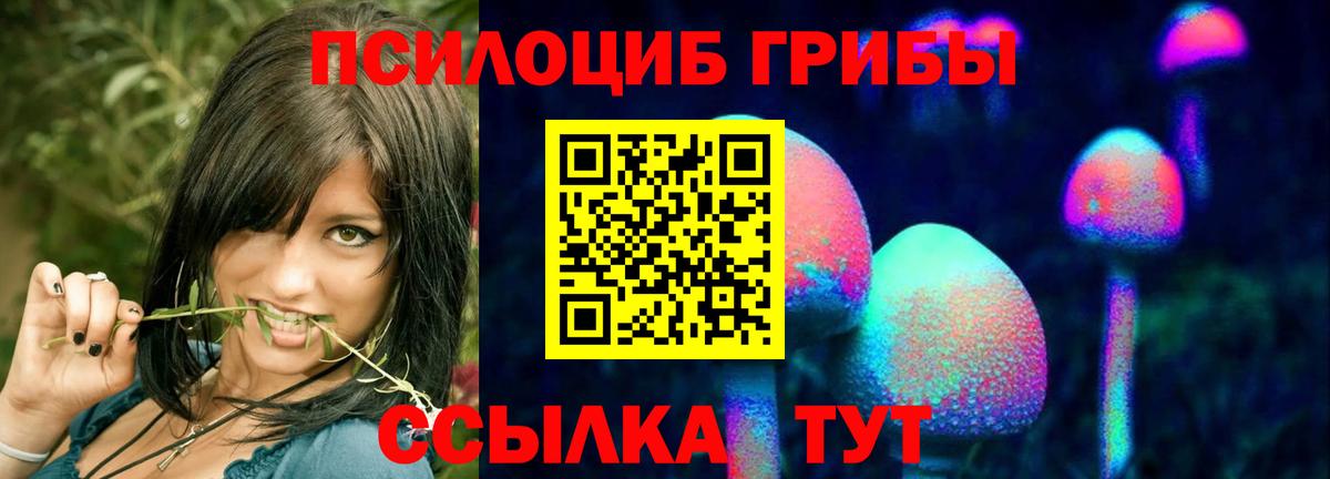 Галлюциногенные грибы Psilocybine cubensis Амурск